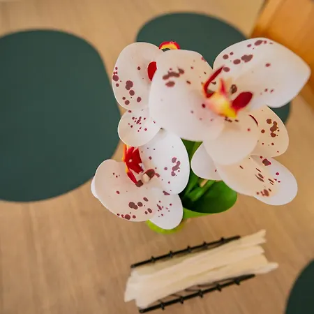 דירה The Sea Balcony - 1bd By Flat Mаnager בורגאס